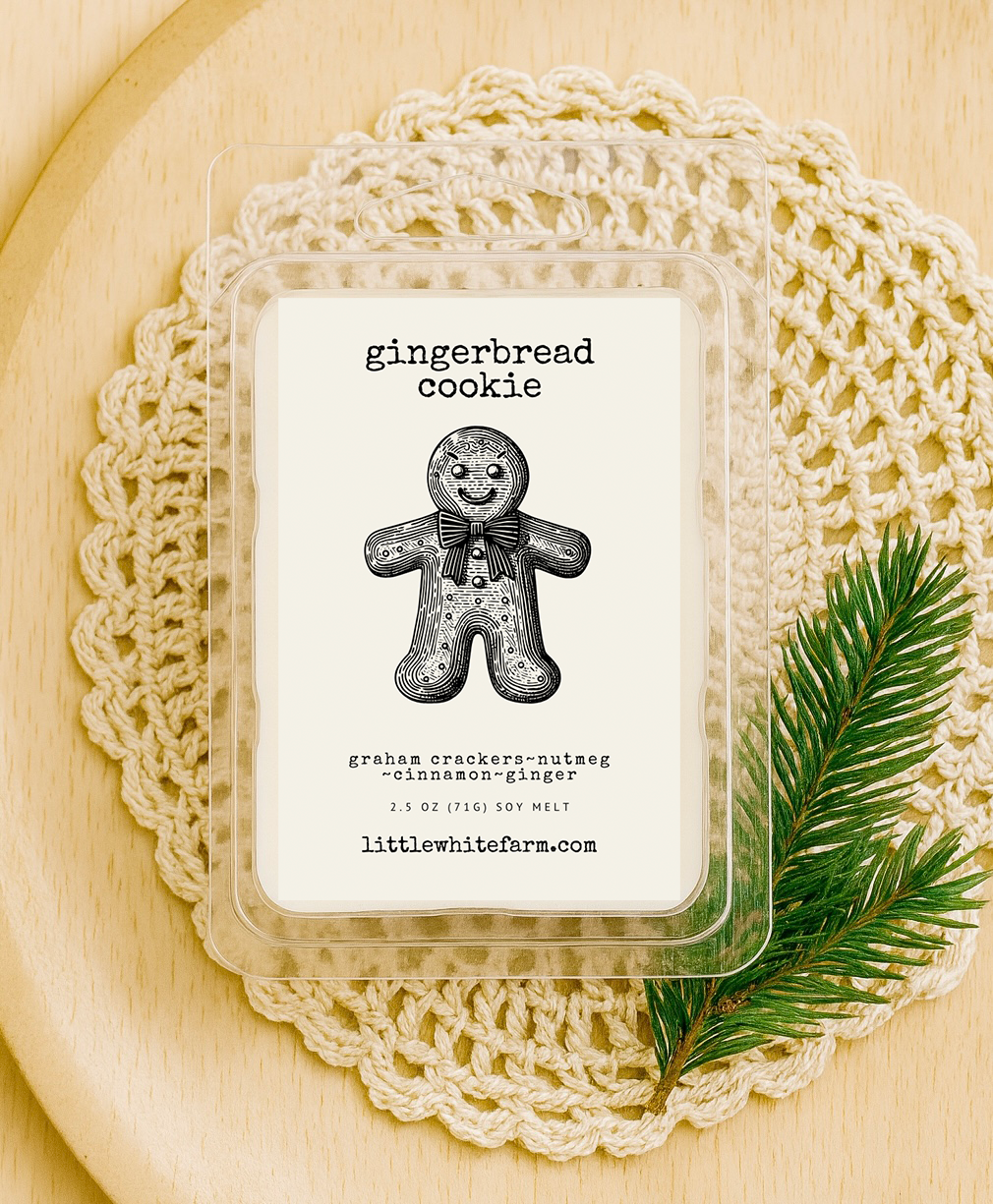 Gingerbread Cookie Wax Melt