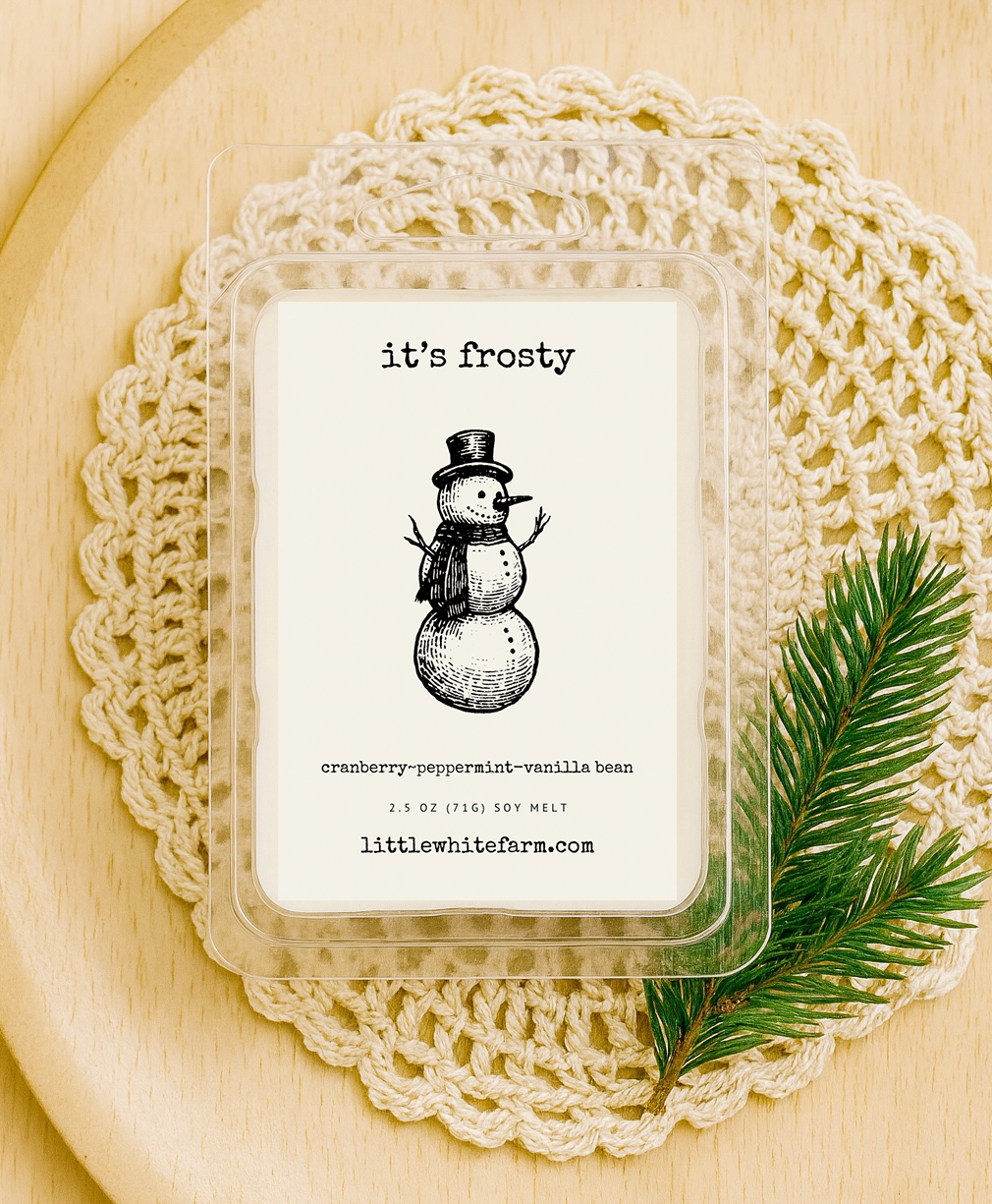 It's Frosty Wax Melt