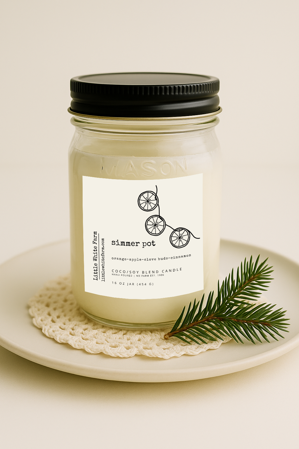 Simmer Pot Mason Jar Candle