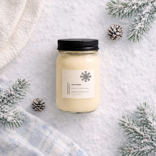 ND Winter Mason Jar Candle and Wax Melt