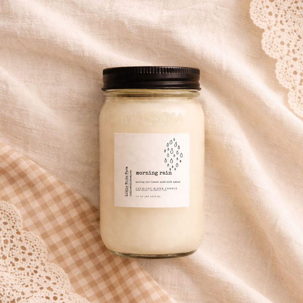 Morning Rain Mason Jar Candle and Wax Melt
