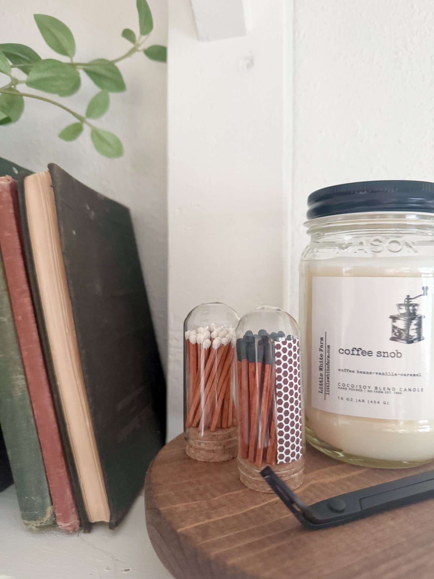 2" Safety Matches + Mini Cloche (Set of 1)