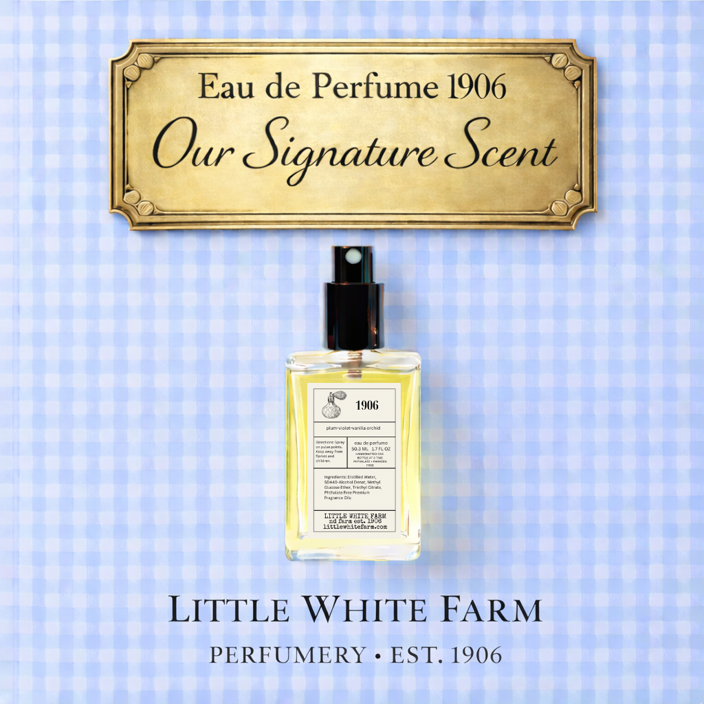 Eau de Perfume + Cologne