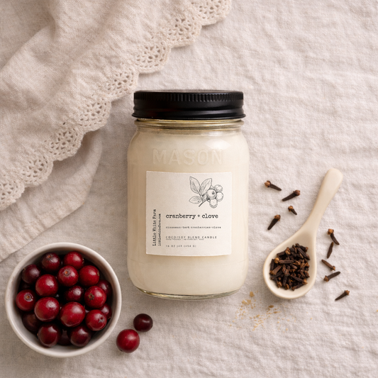 SALE Cranberry + Clove Mason Jar Candle and Wax Melt