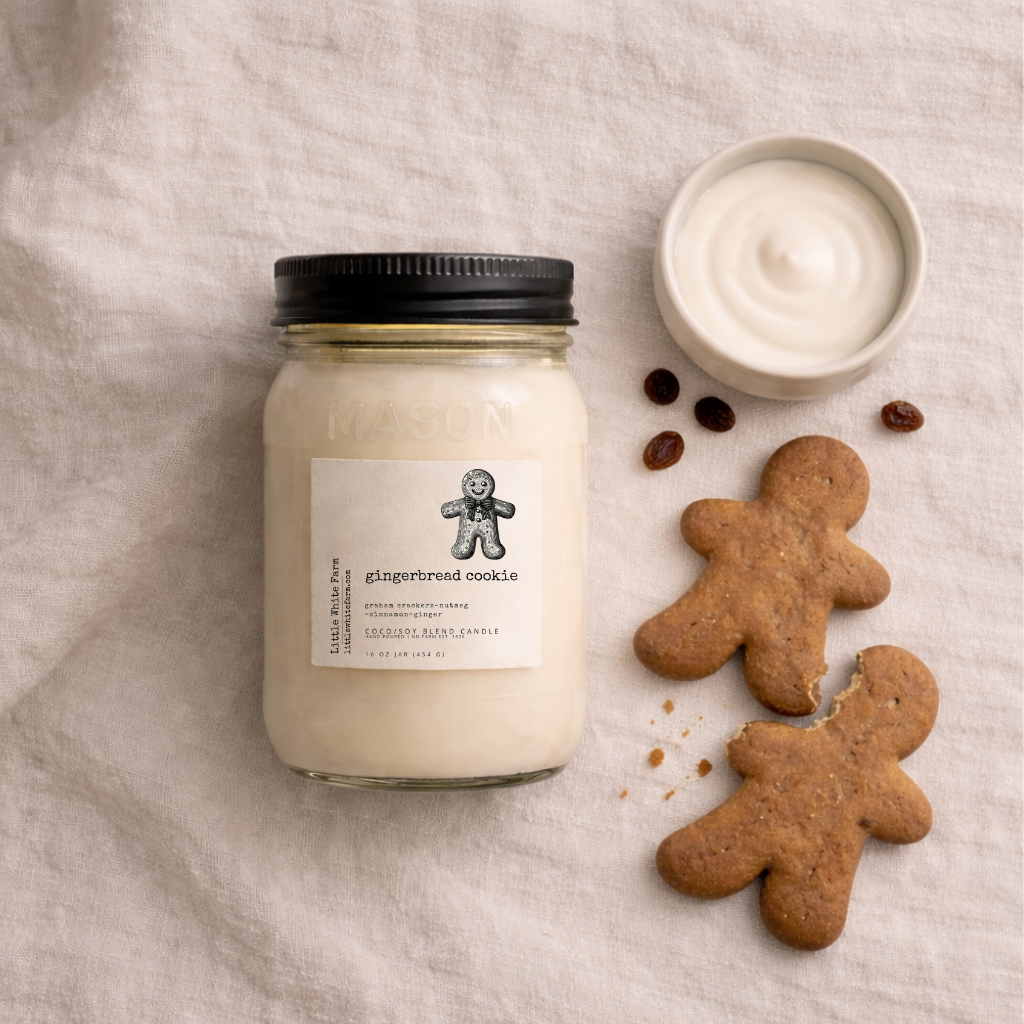 SALE Gingerbread Cookie Mason Jar Candle and Wax Melt