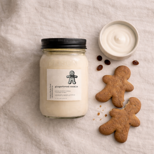 SALE Gingerbread Cookie Mason Jar Candle and Wax Melt