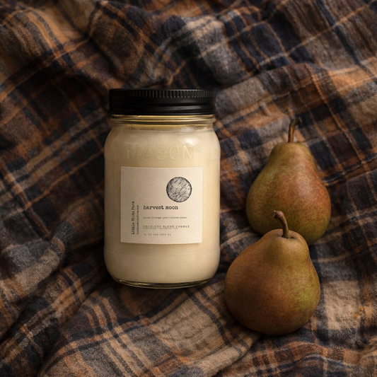 SALE Harvest Moon Fall Collection Mason Jar Candle and Wax Melt