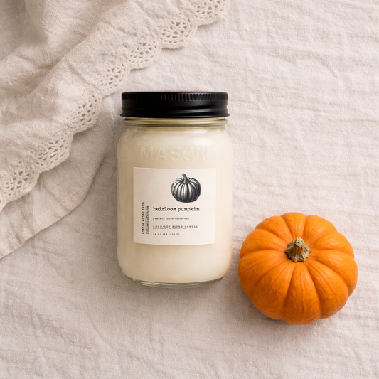 SALE Heirloom Pumpkin Fall Collection Mason Jar Candle and Wax Melt