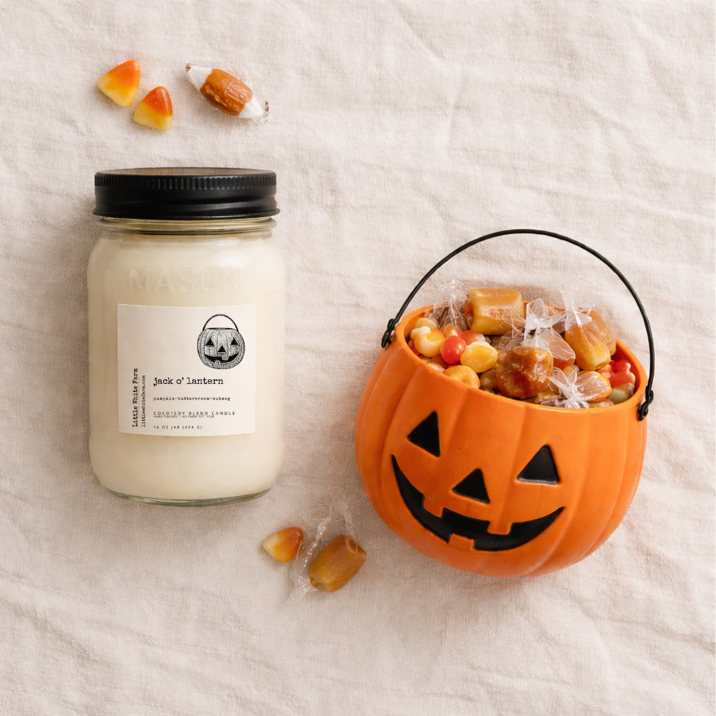 SALE Jack O' Lantern Fall Collection Mason Jar Candle and Wax Melt