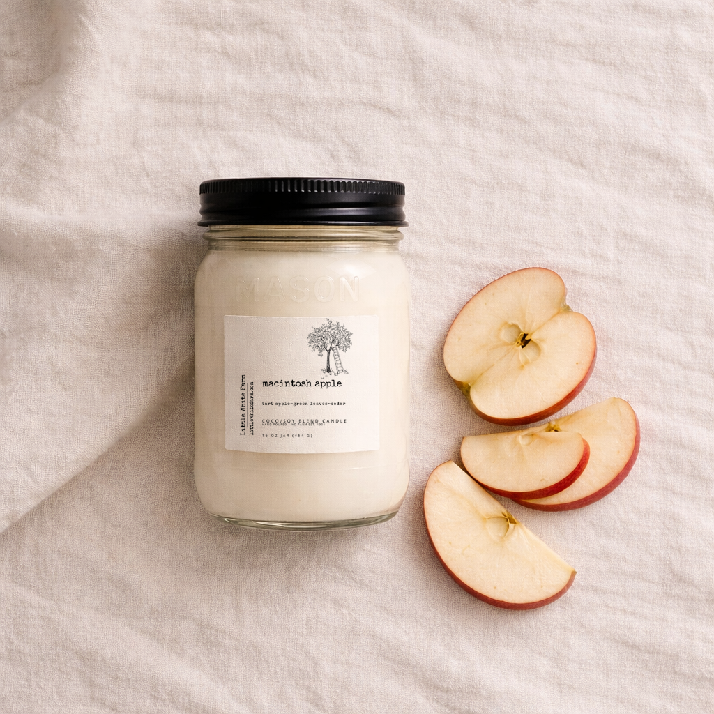 SALE Macintosh Apple Fall Collection Mason Jar Candle and Wax Melt