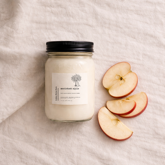 SALE Macintosh Apple Fall Collection Mason Jar Candle and Wax Melt