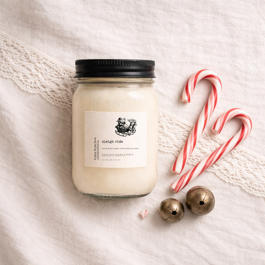 SALE Sleigh Ride Mason Jar Candle and Wax Melt
