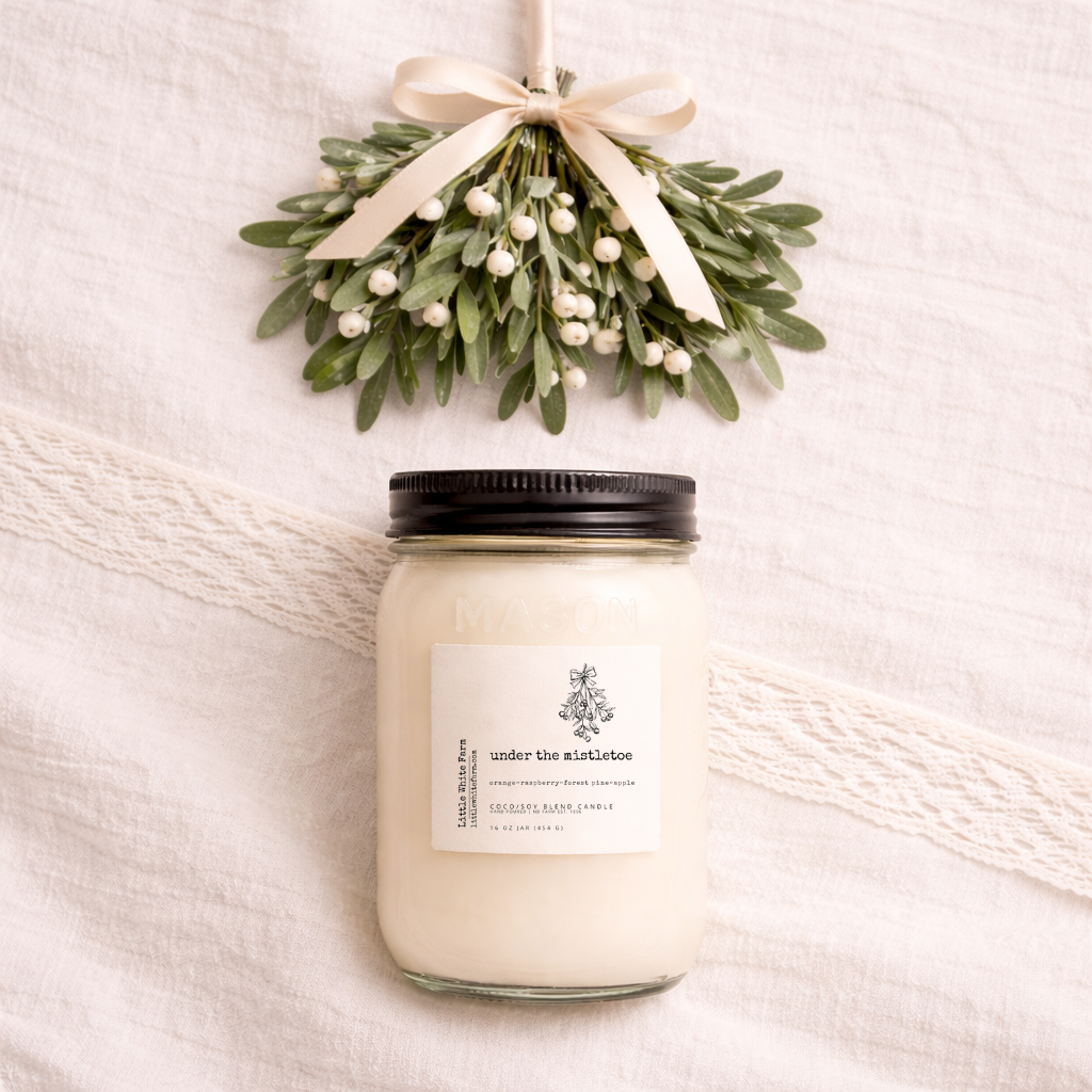 SALE Under the Mistletoe Mason Jar Candle and Wax Melt
