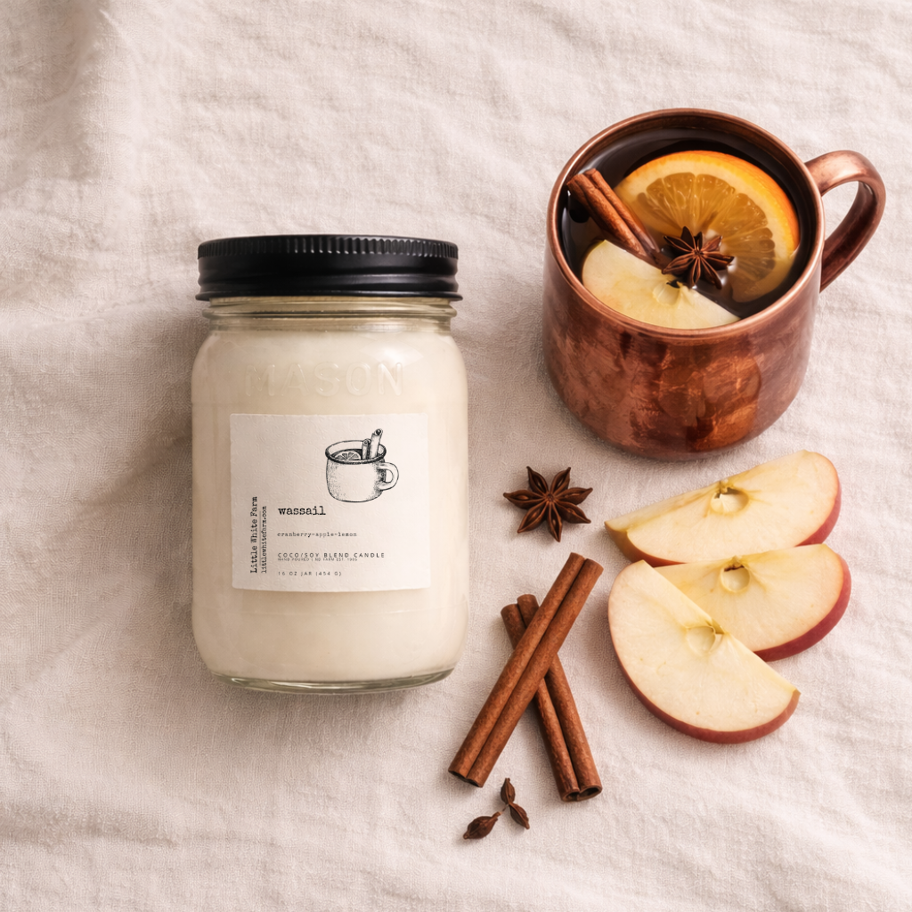 SALE Wassail Mason Jar Candle and Wax Melt