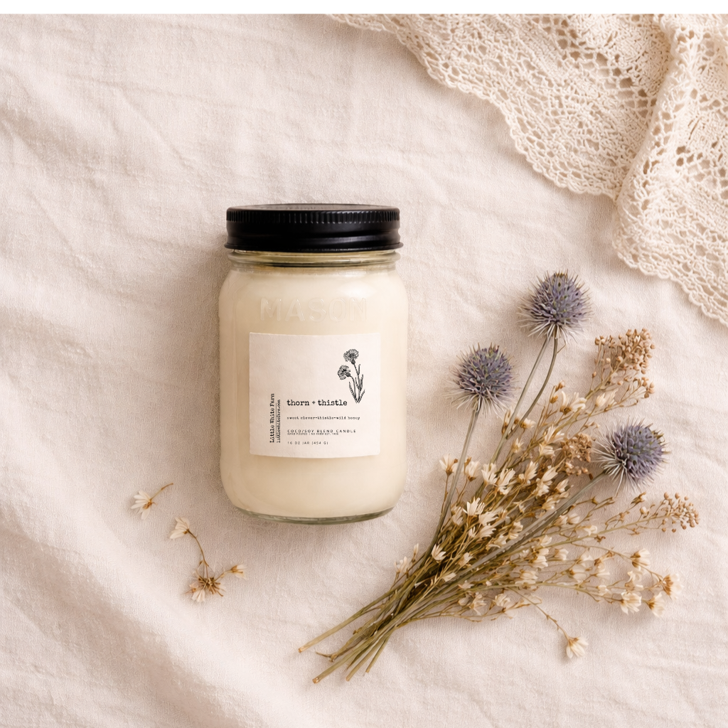 Thorn + Thistle Mason Jar Candle and Wax Melt