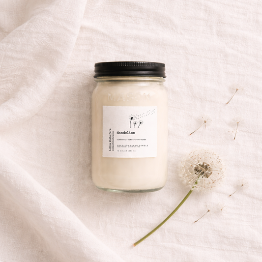 Dandelion Mason Jar Candle and Wax Melt