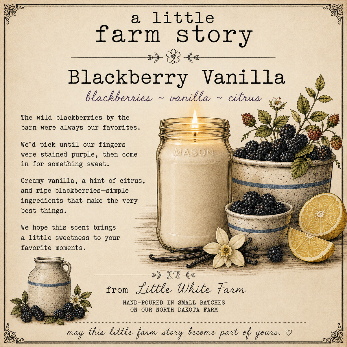 Blackberry Vanilla Farmhouse Collection Mason Jar Candle and Wax Melt