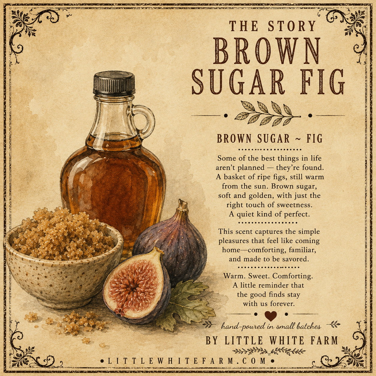 Brown Sugar + Fig Harvest Collection Mason Jar Candle and Wax Melt