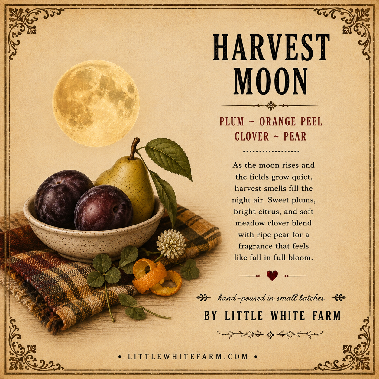 Harvest Moon Harvest Collection Mason Jar Candle and Wax Melt
