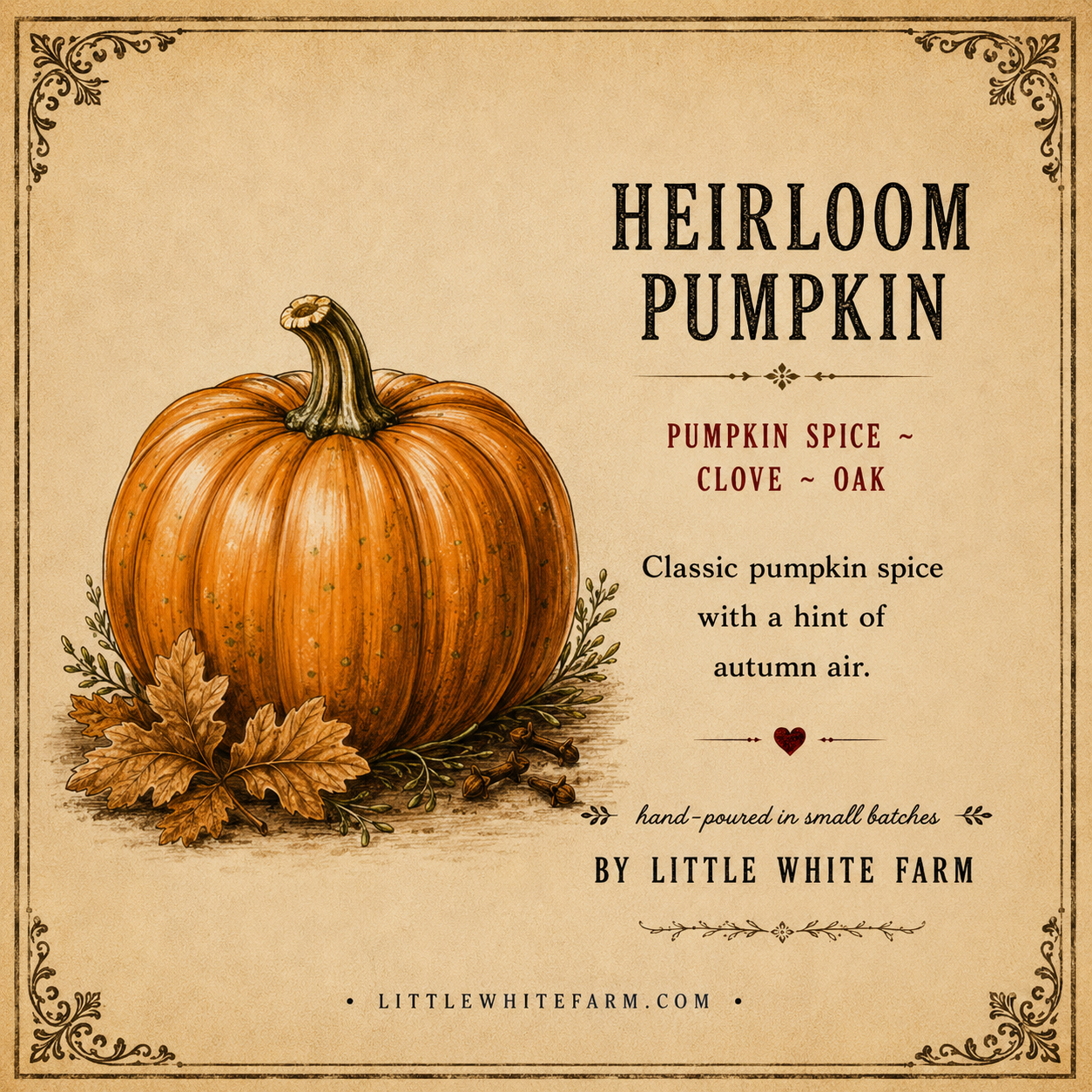 Heirloom Pumpkin Harvest Collection Mason Jar Candle and Wax Melt