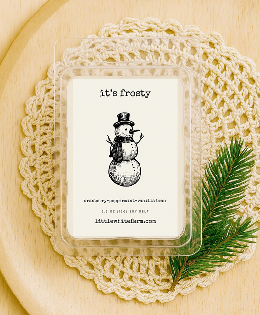 It's Frosty Wax Melt