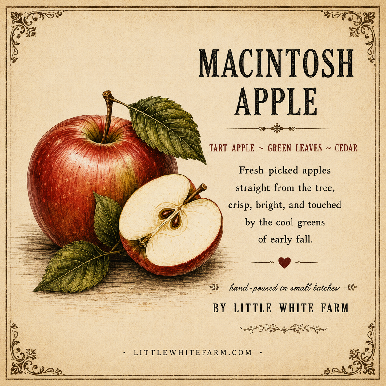 Macintosh Apple Harvest Collection Mason Jar Candle and Wax Melt