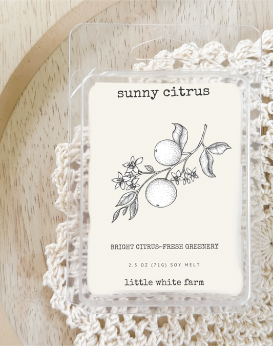 Sunny + Citrus Farmhouse Collection Wax Melt