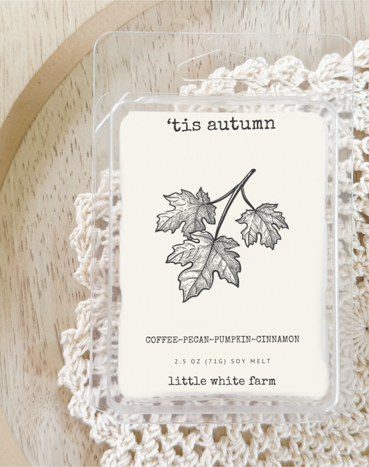 'Tis Autumn Fall Collection Wax Melt